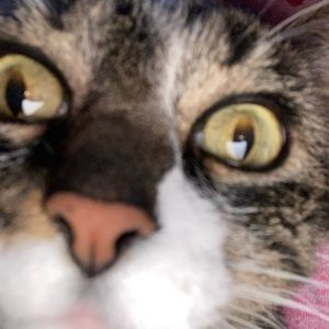 Meet your Posher, Jenna